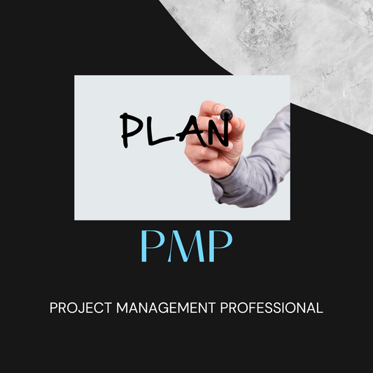 GERENTE DE PROYECTOS (PMP)